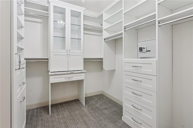 328 Shade Tree Cir, Woodstock, GA 30188 - walk in closet with dark colored carpet