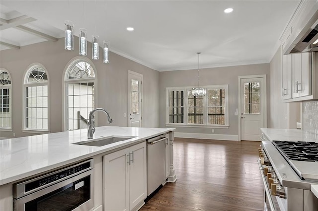 kitchen with extractor fan, dark wood-type flooring, a sink, white cabinets, and appliances with stainless steel finishes