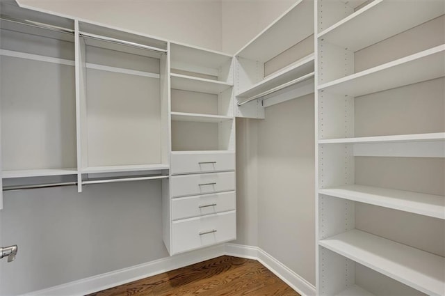 walk in closet featuring dark wood-style flooring