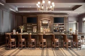 bar with a chandelier, a raised ceiling, indoor wet bar, and crown molding