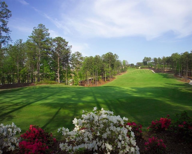 view of property's community featuring a yard and golf course view