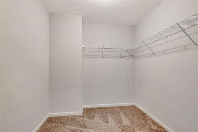 529 Dasheill Ln, Atlanta, GA 30349 - walk in closet featuring carpet floors