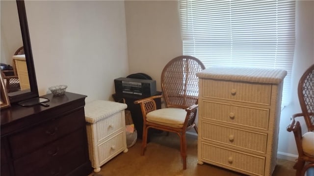 sitting room featuring carpet floors