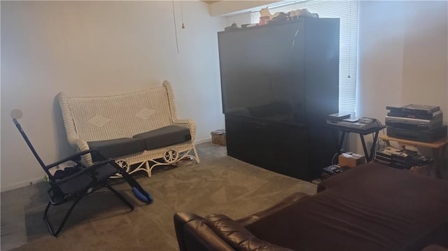 living area featuring baseboards and carpet