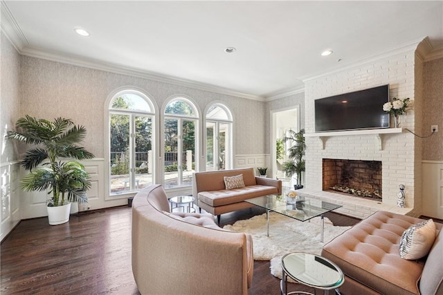 living room with a fireplace, ornamental molding, and dark hardwood / wood-style floors