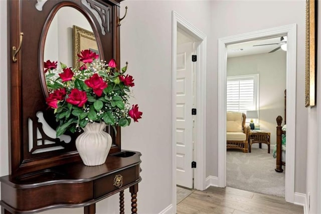 1311 Calgary Lk, Winder, GA 30680 - hall featuring light wood-type flooring and baseboards