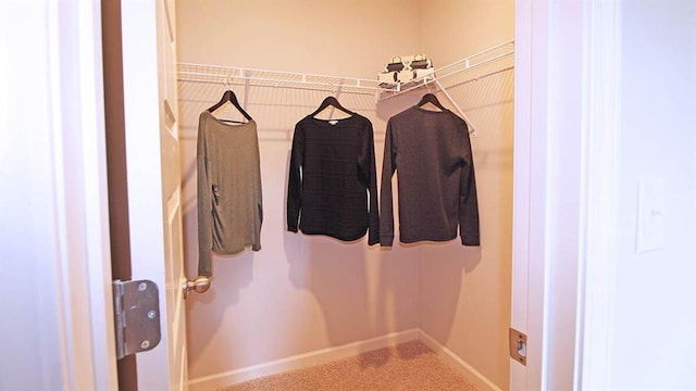 spacious closet featuring carpet floors