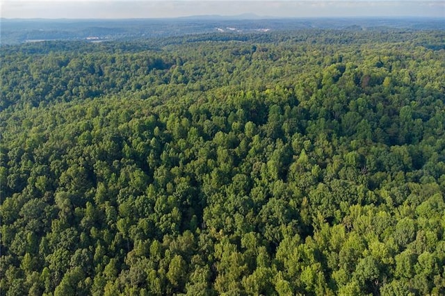 0 Mill Creek Dr, Dawsonville, GA 30534