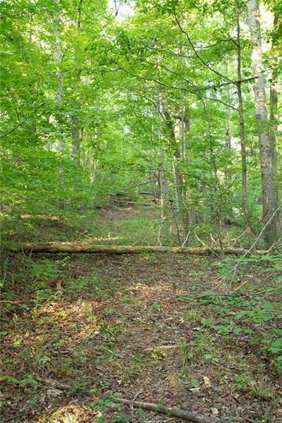 0 Mill Creek Dr, Dawsonville, GA 30534