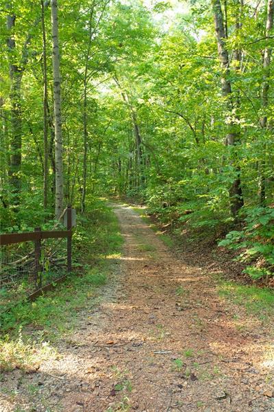 0 Mill Creek Dr, Dawsonville, GA 30534