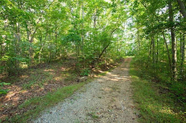 0 Mill Creek Dr, Dawsonville, GA 30534