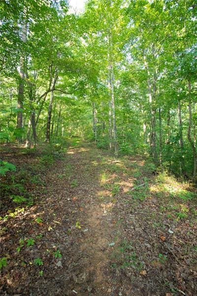 0 Mill Creek Dr, Dawsonville, GA 30534