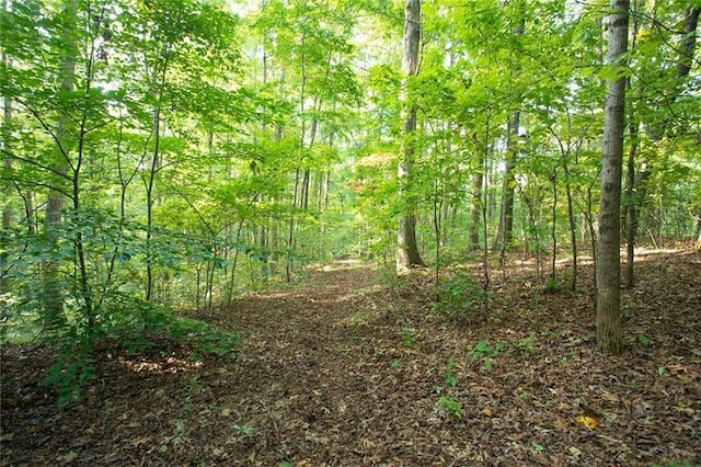 0 Mill Creek Dr, Dawsonville, GA 30534