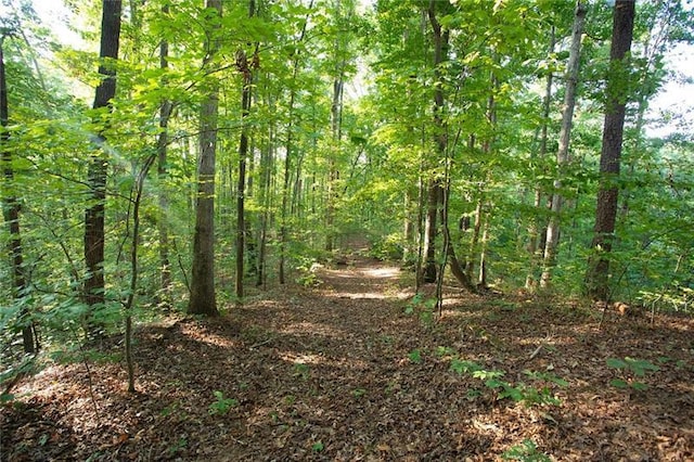 0 Mill Creek Dr, Dawsonville, GA 30534