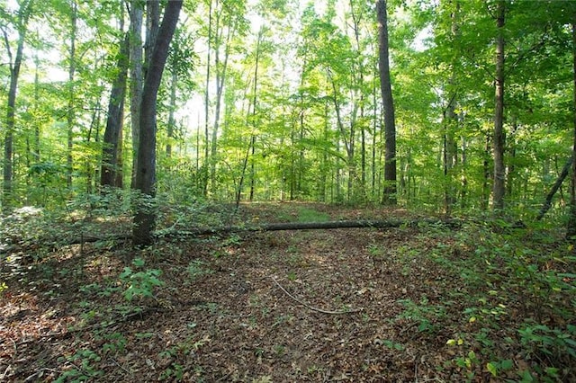 0 Mill Creek Dr, Dawsonville, GA 30534