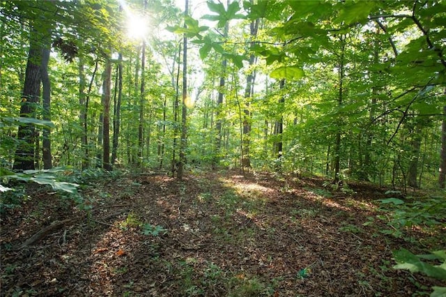 0 Mill Creek Dr, Dawsonville, GA 30534