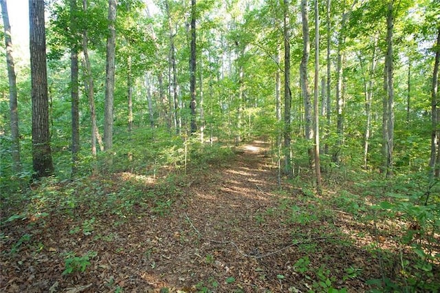 0 Mill Creek Dr, Dawsonville, GA 30534