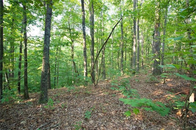 0 Mill Creek Dr, Dawsonville, GA 30534
