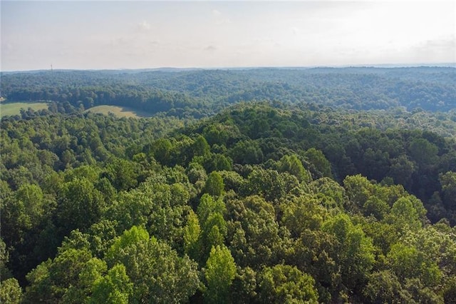 0 Mill Creek Dr, Dawsonville, GA 30534