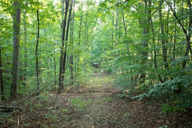 0 Mill Creek Dr, Dawsonville, GA 30534