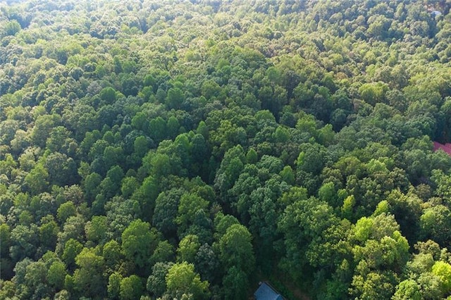0 Mill Creek Dr, Dawsonville, GA 30534