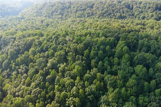 0 Mill Creek Dr, Dawsonville, GA 30534