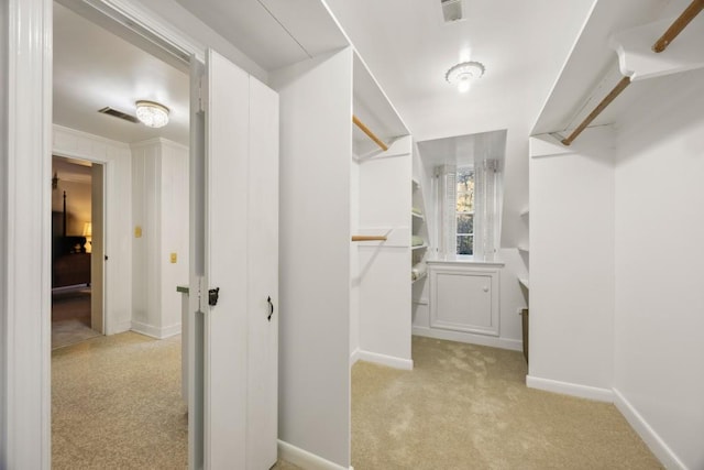 spacious closet with light carpet