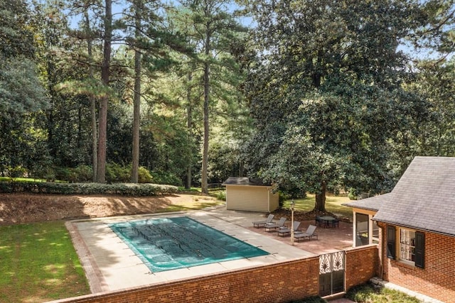 view of pool with a storage shed and a patio