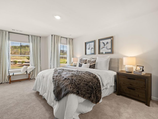 10 Rustin Rdg, Dahlonega, GA 30533 - bedroom with light colored carpet and multiple windows