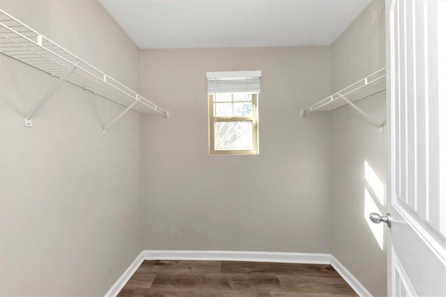 walk in closet with dark hardwood / wood-style flooring