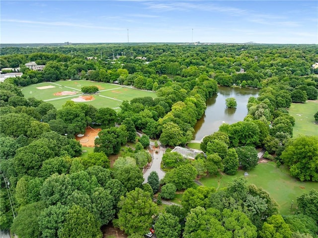 1055 Piedmont Ave NE Unit 106, Atlanta, GA 30309 - aerial view of a nearby body of water and a forest