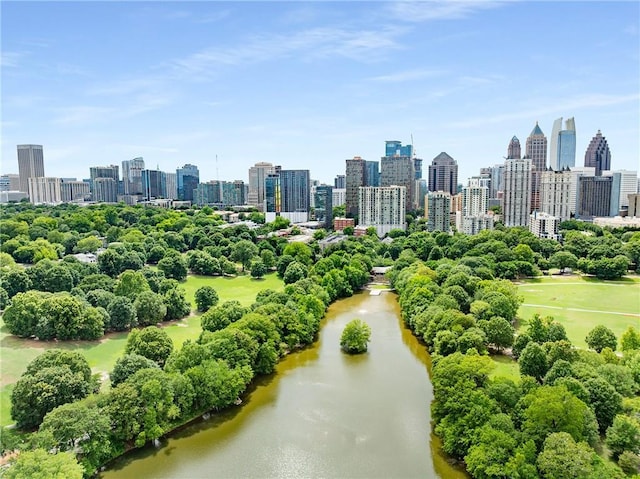 1055 Piedmont Ave NE Unit 106, Atlanta, GA 30309 - view of city skyline featuring a tree filled landscape