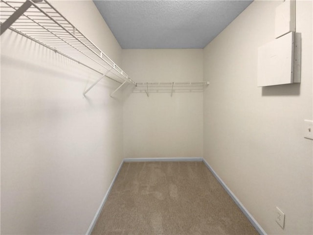4024 Waldrop Hills Dr, Decatur, GA 30034 - spacious closet with carpet floors
