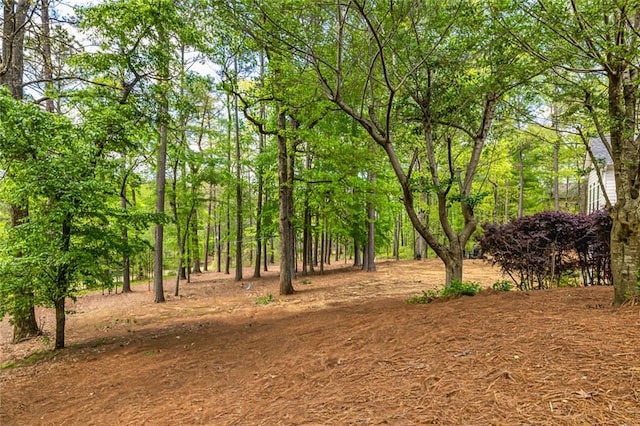 20 Jasmine Ct, Newnan, GA 30265 - view of local wilderness