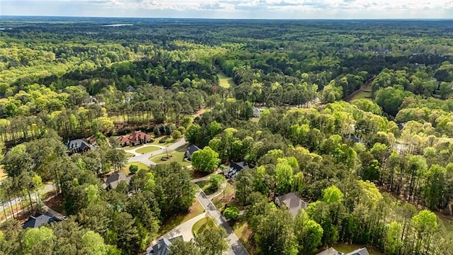 20 Jasmine Ct, Newnan, GA 30265 - bird's eye view of a forest