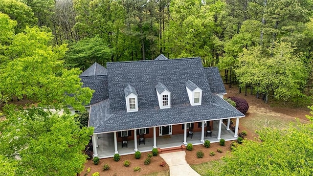 20 Jasmine Ct, Newnan, GA 30265 - cape cod-style house with a porch, a shingled roof, and a wooded view