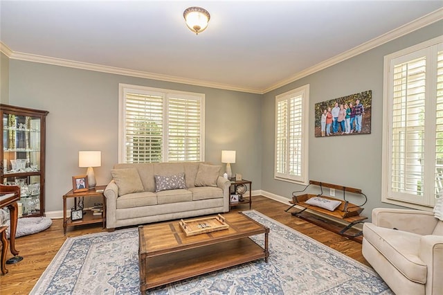 20 Jasmine Ct, Newnan, GA 30265 - living room with wood finished floors, crown molding, and healthy amount of natural light