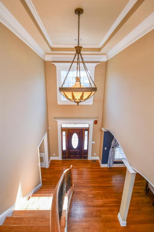 entrance foyer with crown molding, plenty of natural light, baseboards, and wood finished floors