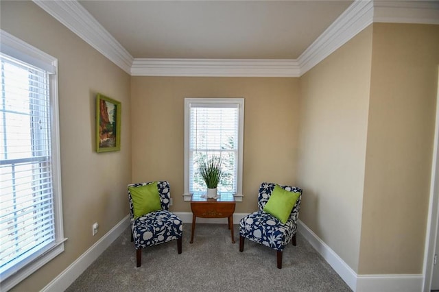 living area featuring baseboards, crown molding, and carpet flooring