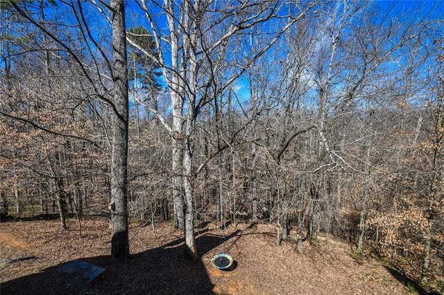 view of yard with a forest view