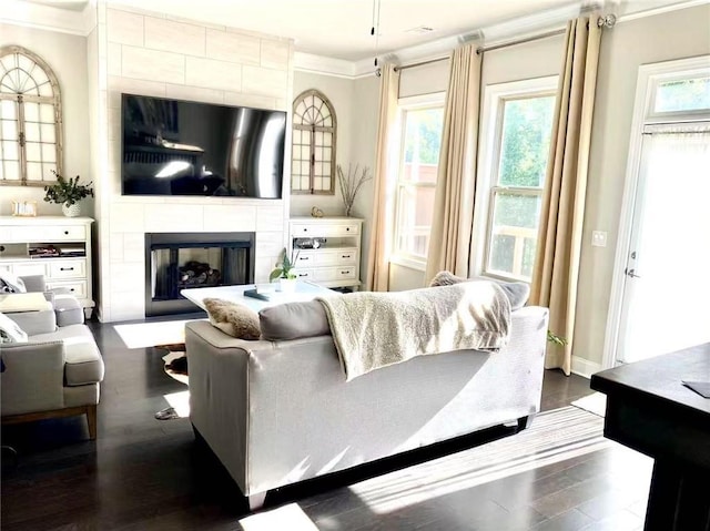 living room with crown molding, a large fireplace, and dark hardwood / wood-style floors