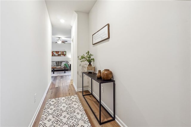 corridor featuring light hardwood / wood-style flooring