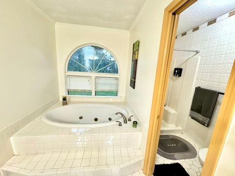 bathroom with independent shower and bath and ornamental molding