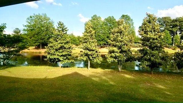 view of yard with a water view