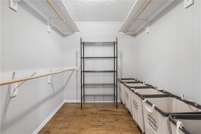 walk in closet featuring wood finished floors