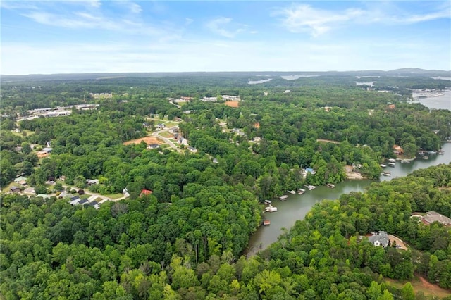 6120 Hutchins Dr, Buford, GA 30518 - aerial view of a nearby body of water and a forest