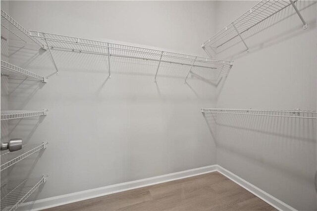 6329 Edgewater Cv, Fairburn, GA 30213 - walk in closet featuring wood finished floors