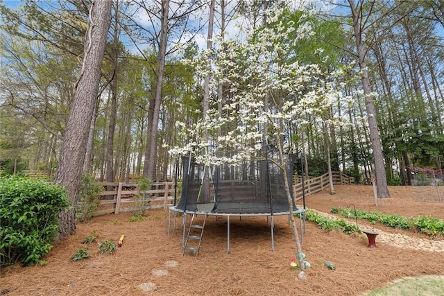 view of yard with a fenced backyard and a trampoline