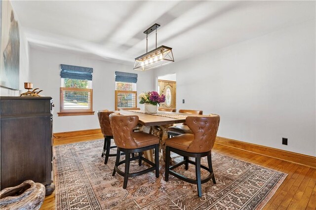 dining room with baseboards and hardwood / wood-style floors