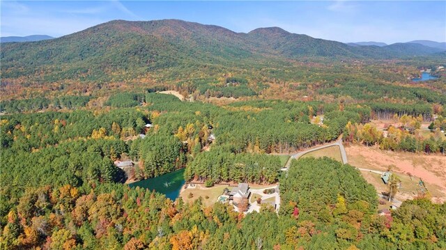 mountain view with a forest view